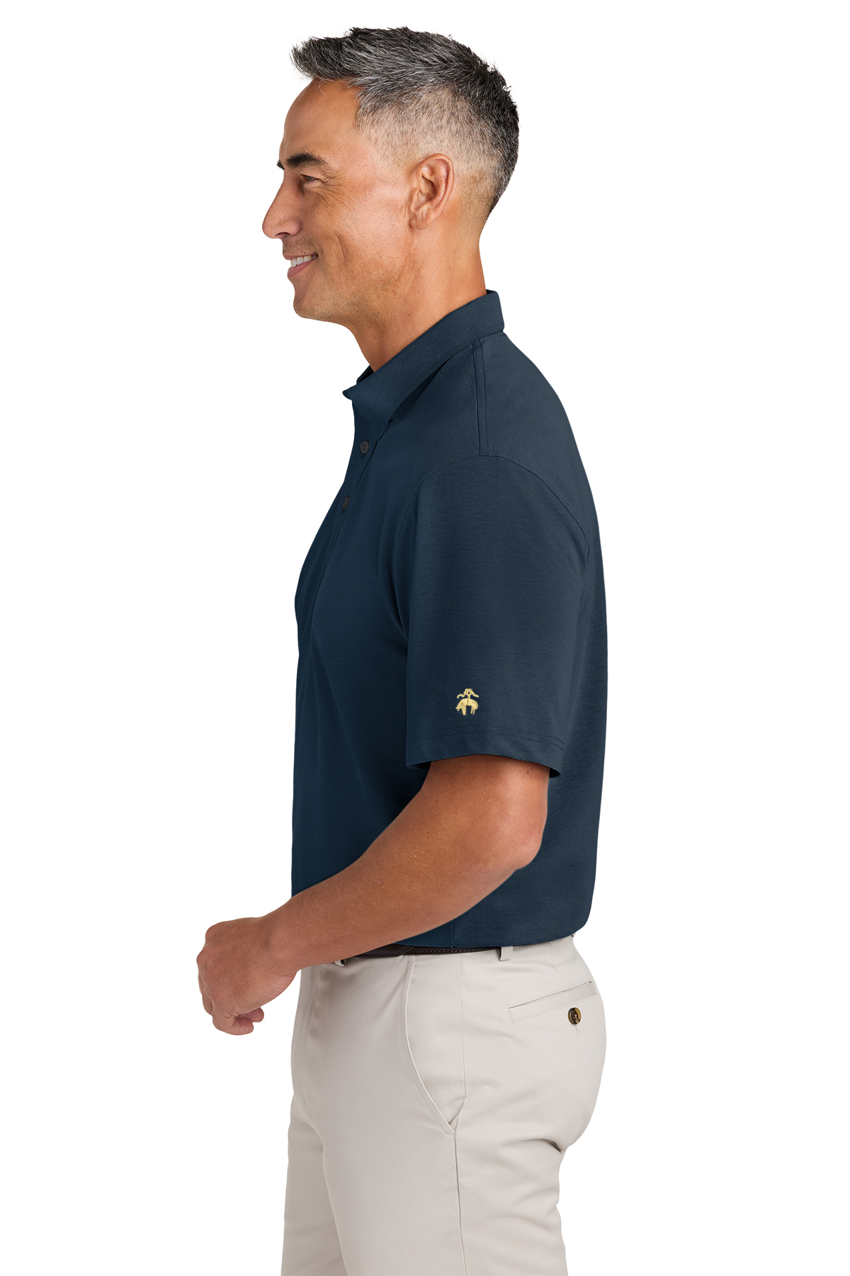 Brooks Brothers Pinpoint Pique Dress Polo | Product | Company Casuals