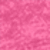 Fuchsia Frost