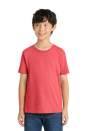 PC099Y
