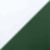 White/ Forest Green/ White
