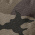 Black Ink Camo