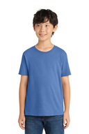 PC099Y