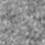 Grey Frost