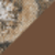 Realtree Edge