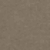 Brown Savana