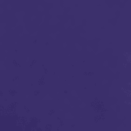 Athletic Purple