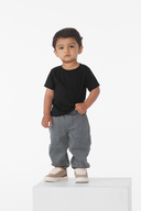 BC3001B