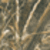 Realtree Max 5