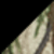 Black/ Realtree Xtra