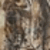Realtree AP