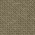 Coyote Brown