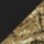 Black/ Realtree Edge