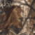 Realtree AP